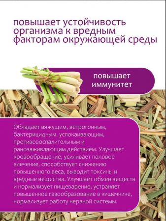 lab 587(100 мл)По мотивам ЛЕМОНГРАСС